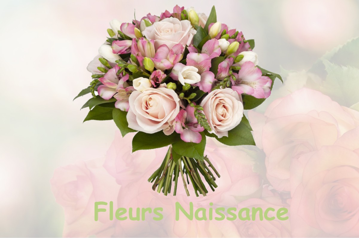 fleurs naissance ASNANS-BEAUVOISIN