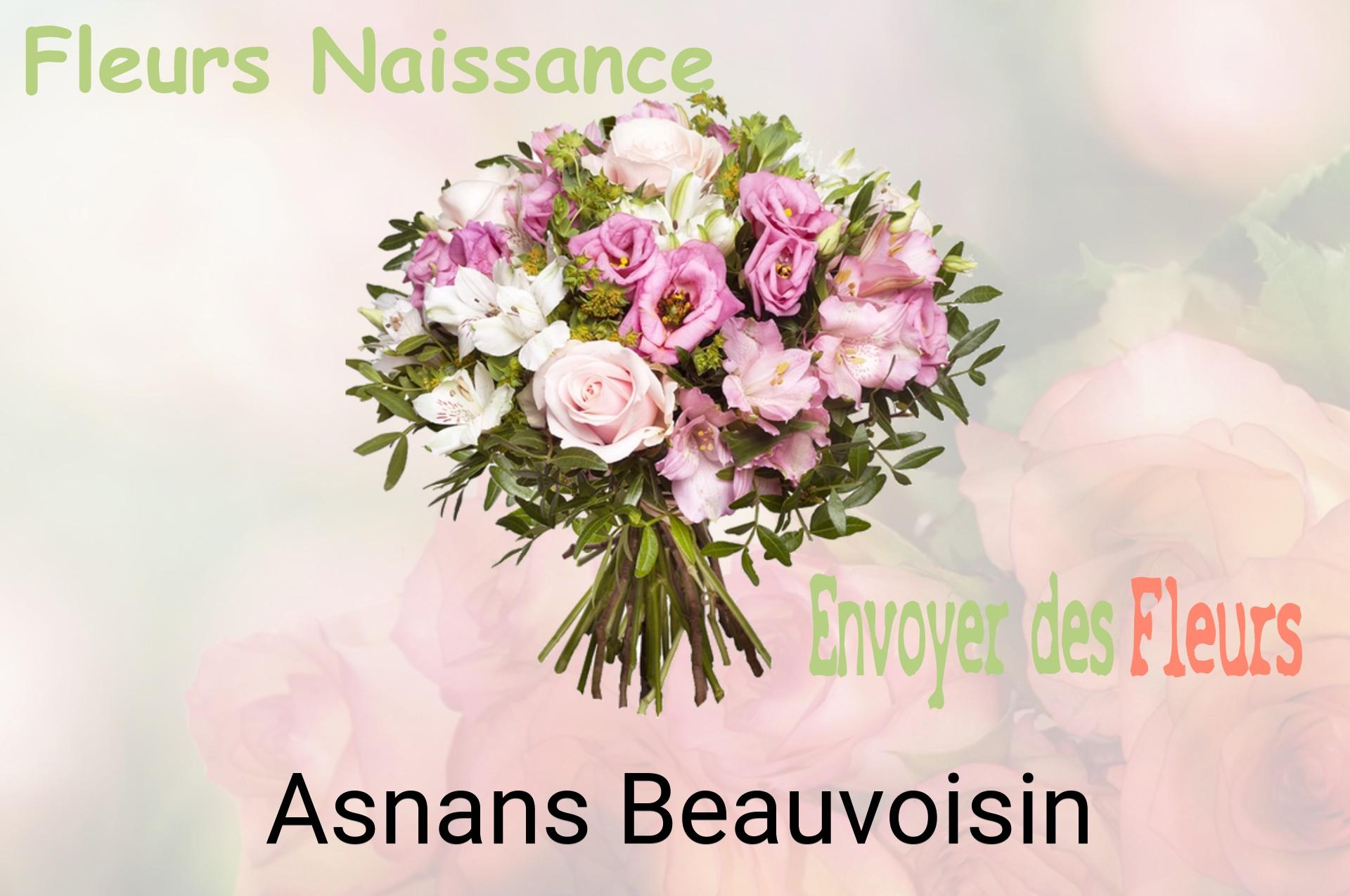 Bouquet de fleurs de naissance livré à Asnans-Beauvoisin