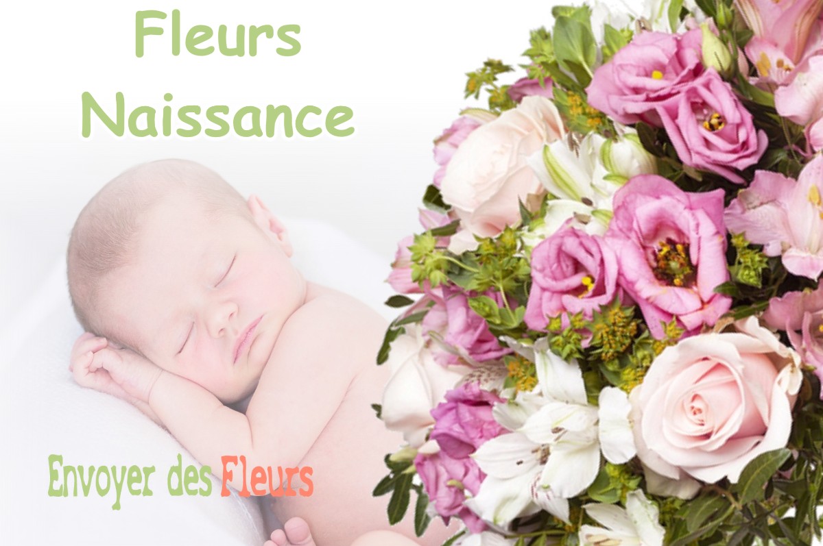 lIVRAISON FLEURS NAISSANCE à ASNANS-BEAUVOISIN